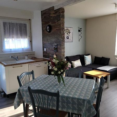 Appartement Au Cigogneau Wifi-Netflix-Balcon-Parking Мюнстер Екстер'єр фото