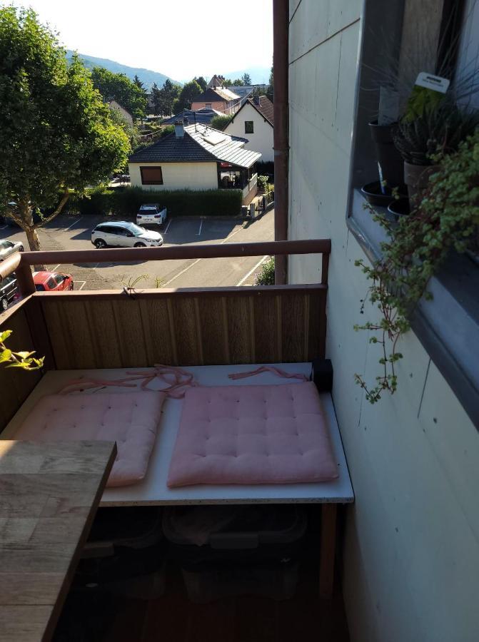 Appartement Au Cigogneau Wifi-Netflix-Balcon-Parking Мюнстер Екстер'єр фото