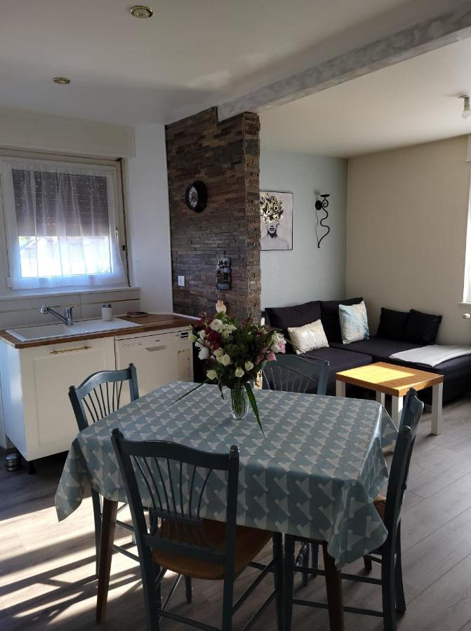 Appartement Au Cigogneau Wifi-Netflix-Balcon-Parking Мюнстер Екстер'єр фото