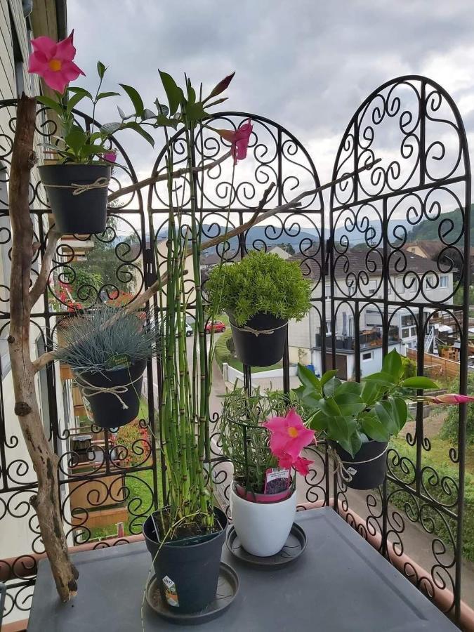 Appartement Au Cigogneau Wifi-Netflix-Balcon-Parking Мюнстер Екстер'єр фото