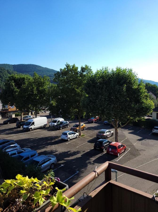 Appartement Au Cigogneau Wifi-Netflix-Balcon-Parking Мюнстер Екстер'єр фото